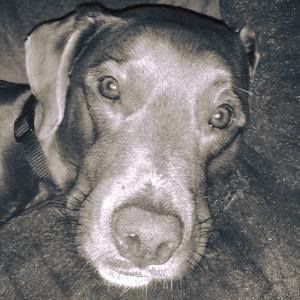 Meet your Posher, Jaime